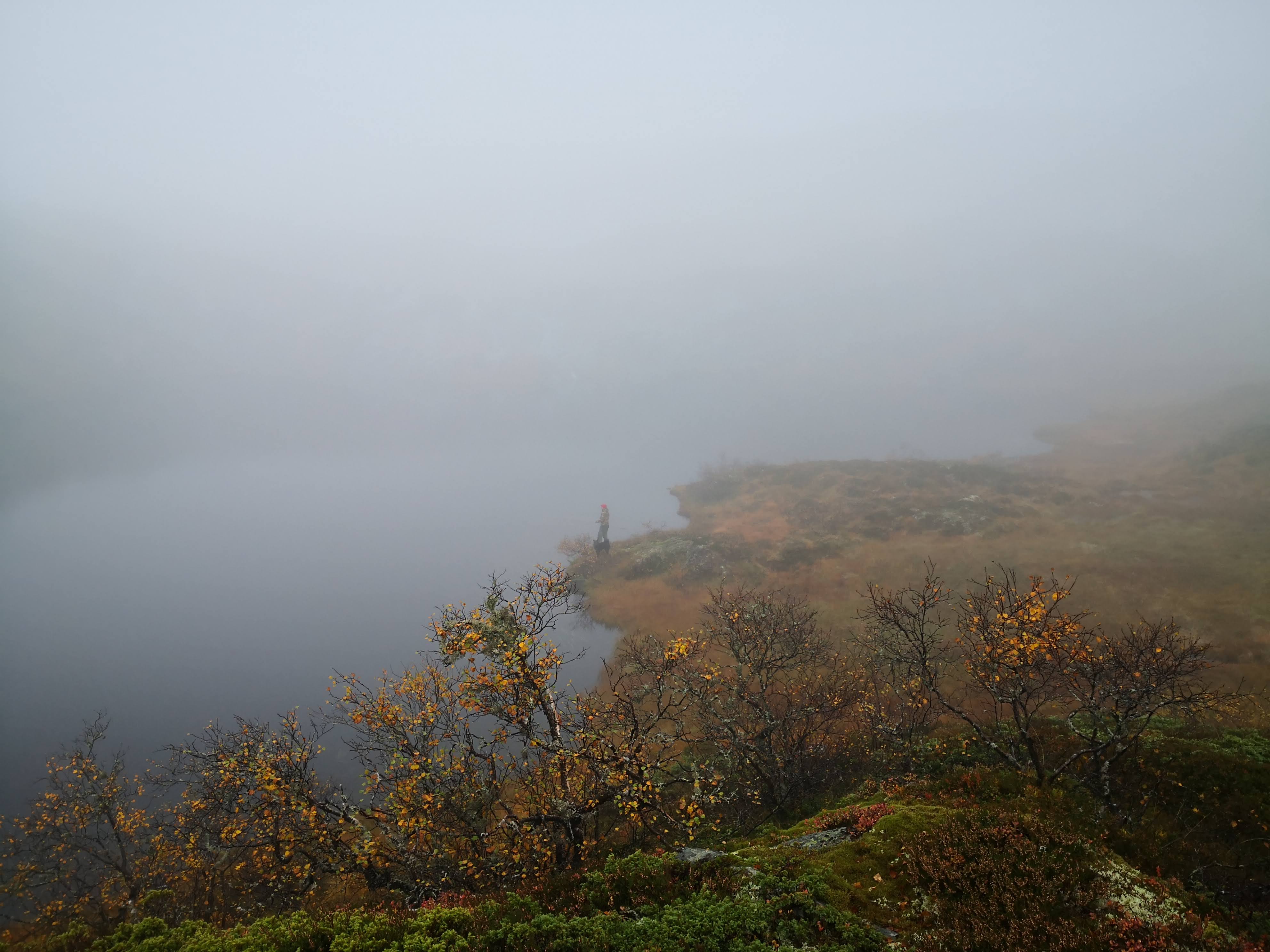 fiske i fellesområdet buttedalen- skarsvatnet