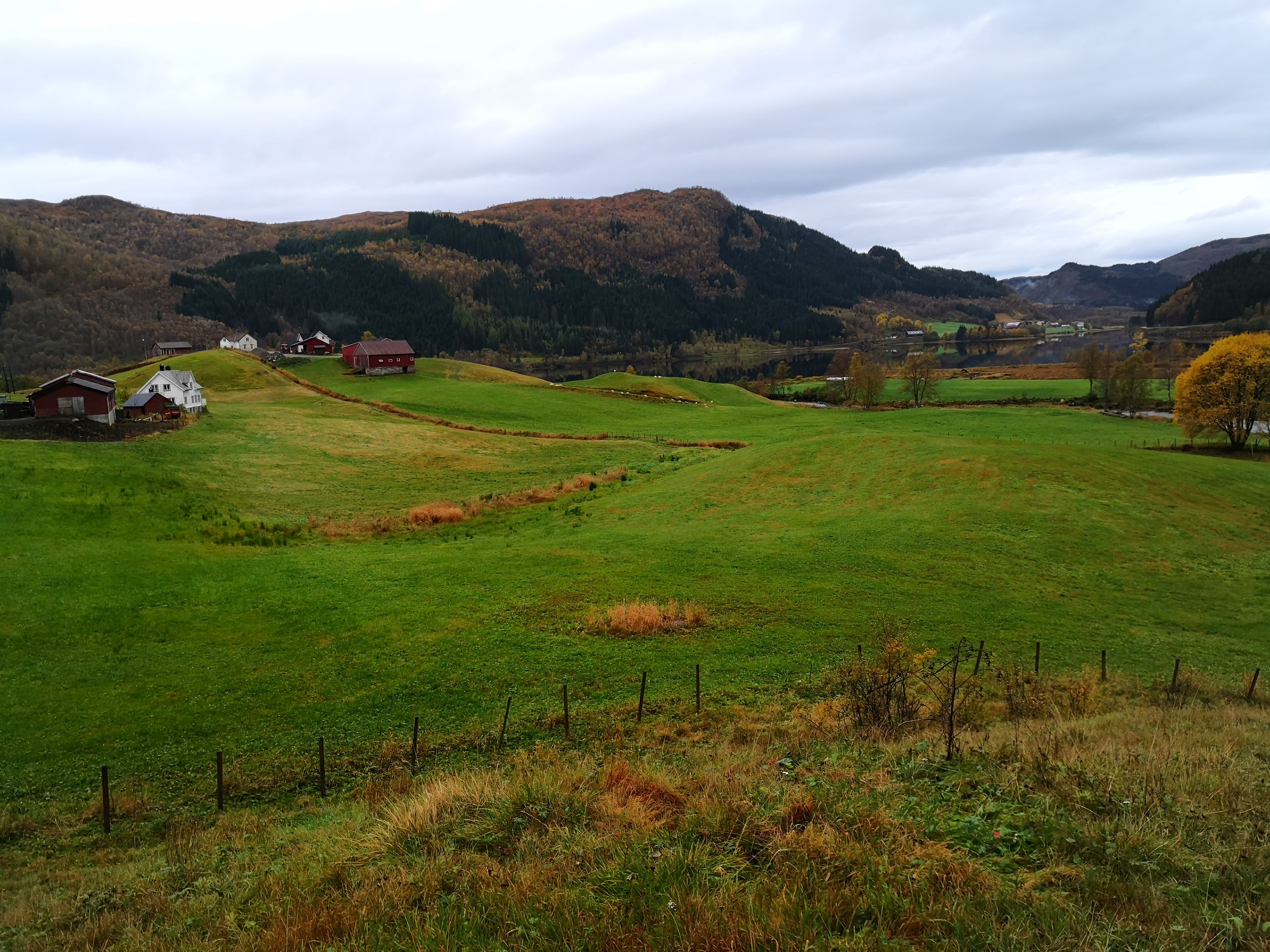 frå storehågen