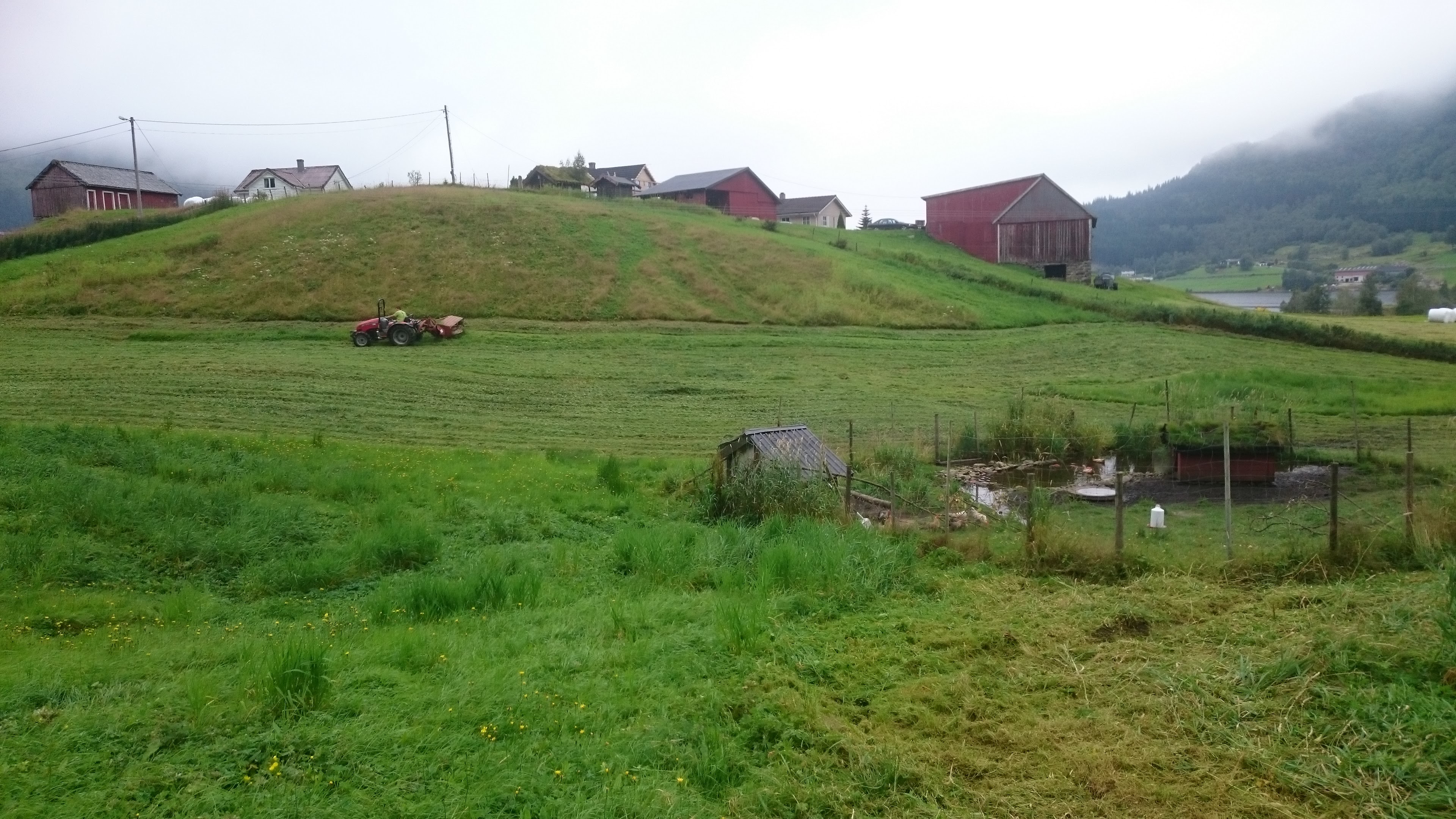 fugledam og slått