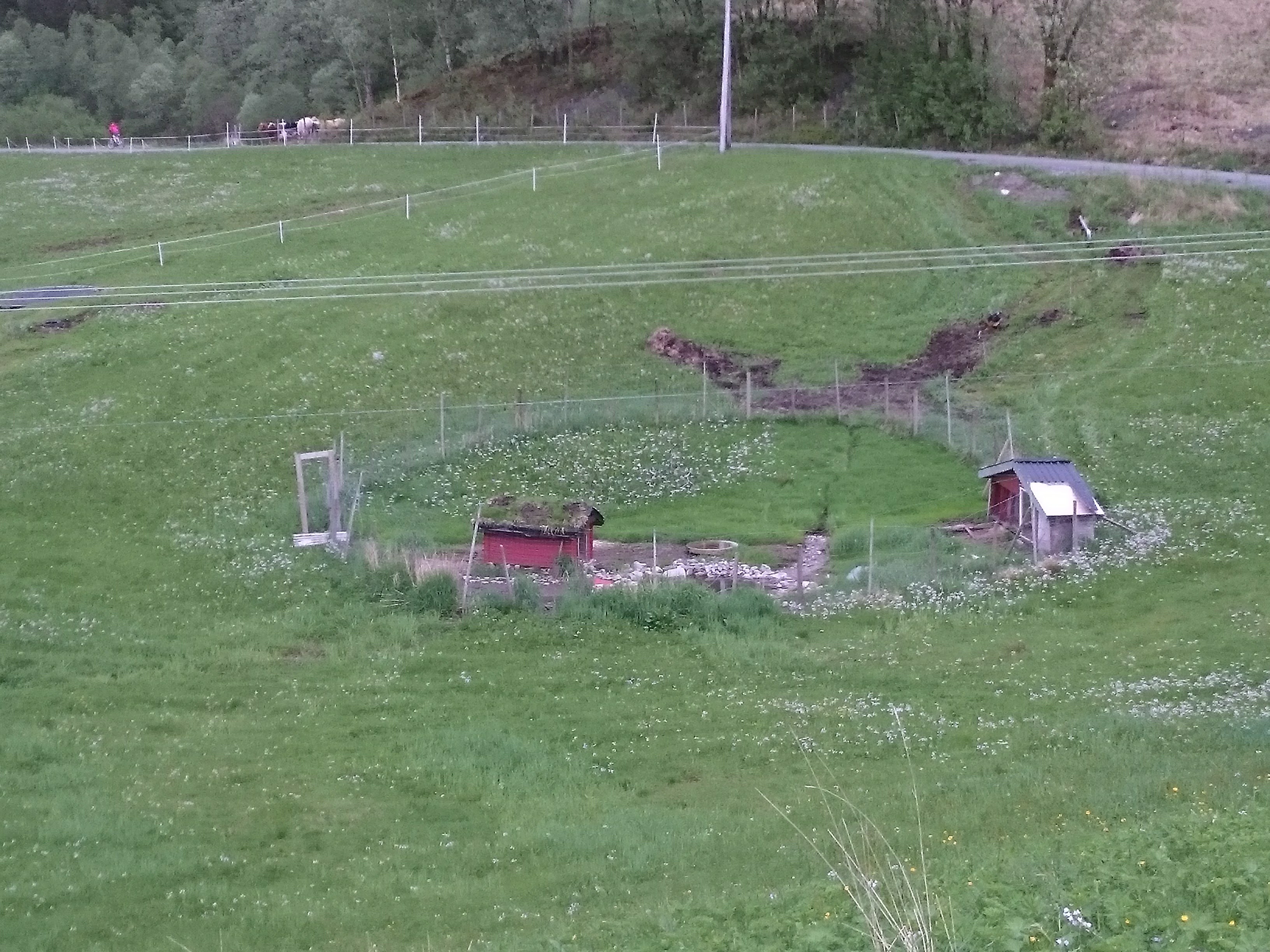 fugledam, ledningane er vekke no