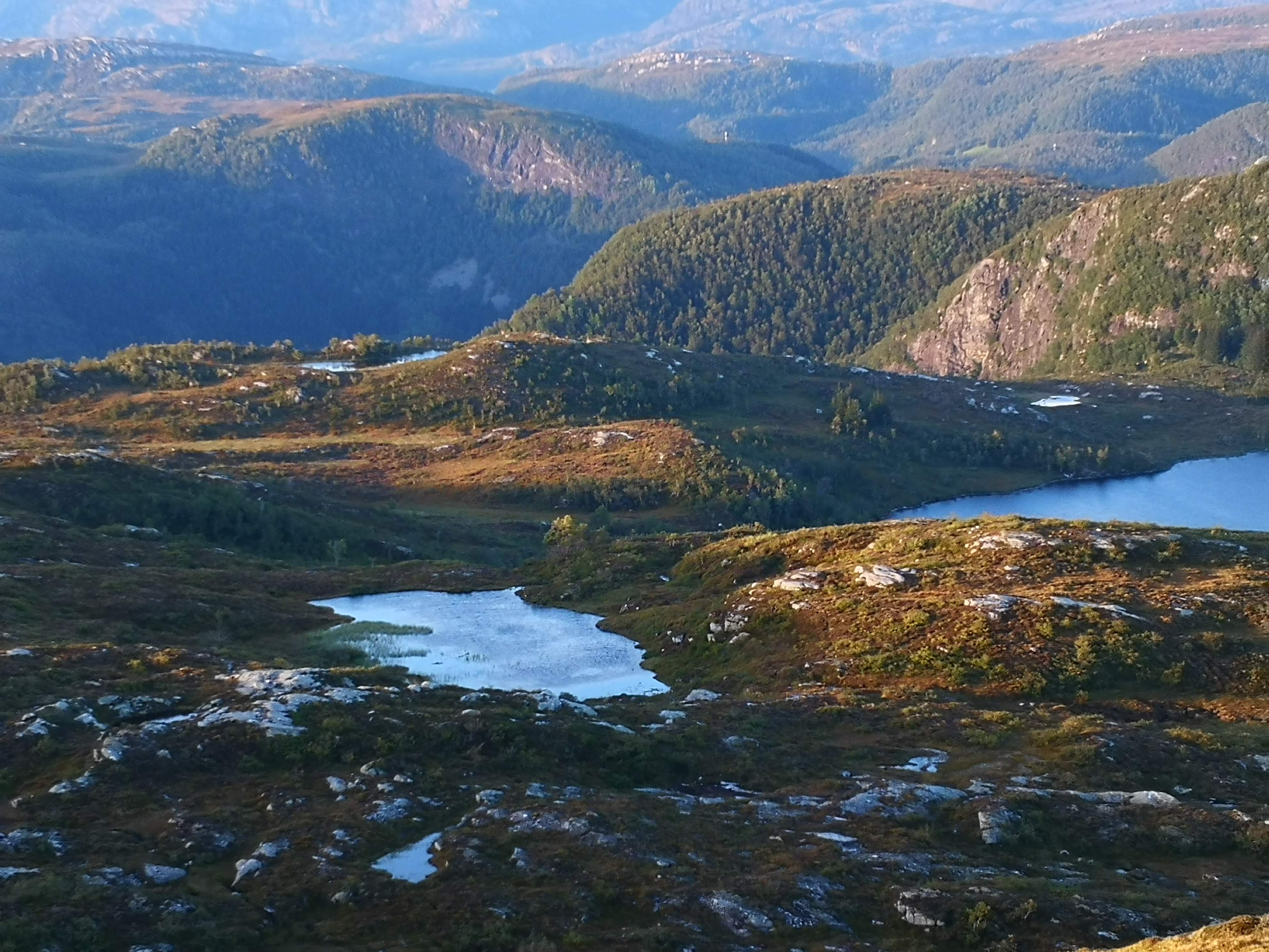 på fjellet mellom hytte og hus