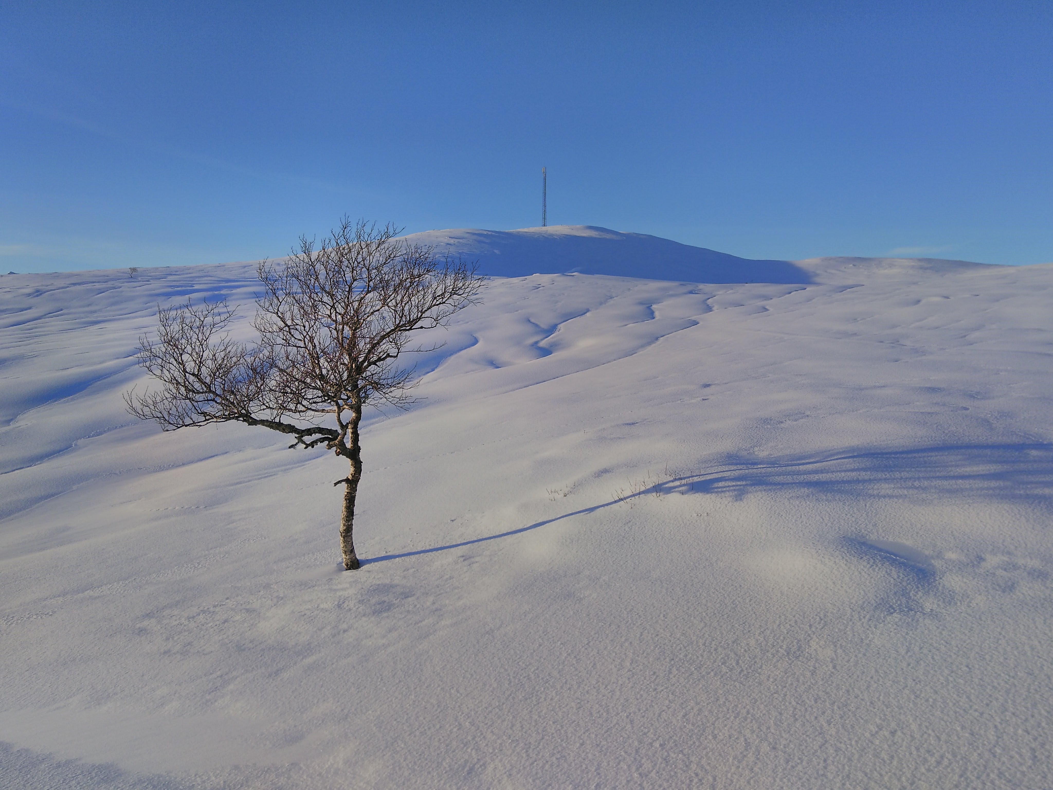 skiområde rett ved